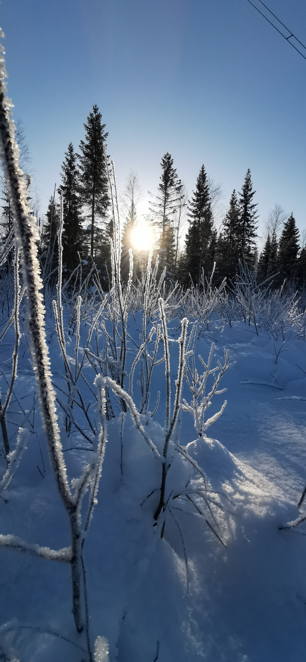 Hallitus – Tornionseudun Metsästysseura r.y.